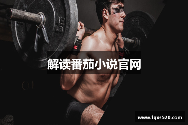 解读番茄小说官网